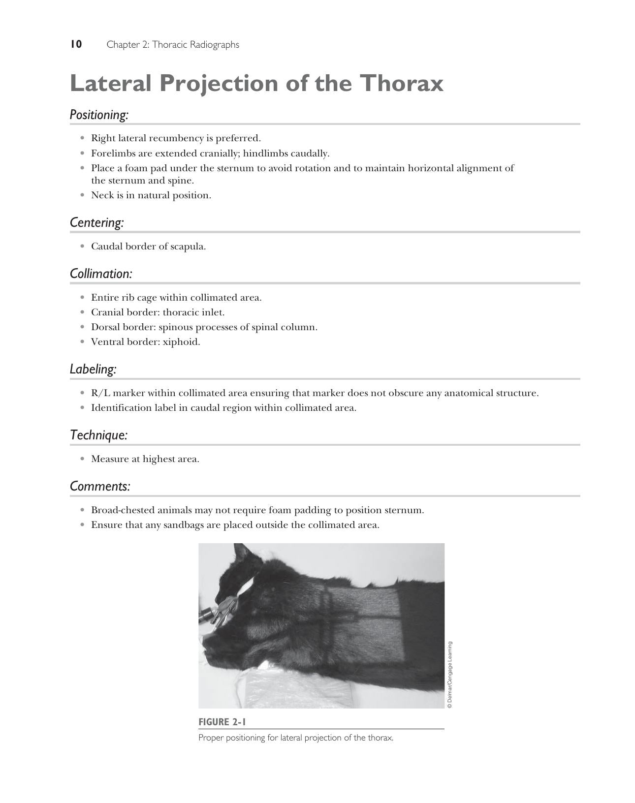 Handbook Of Radiographic Positioning For Veterinary Technicians