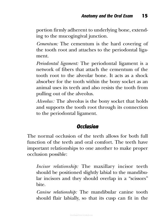 Small Animal Dentistry The Practical Veterinarian