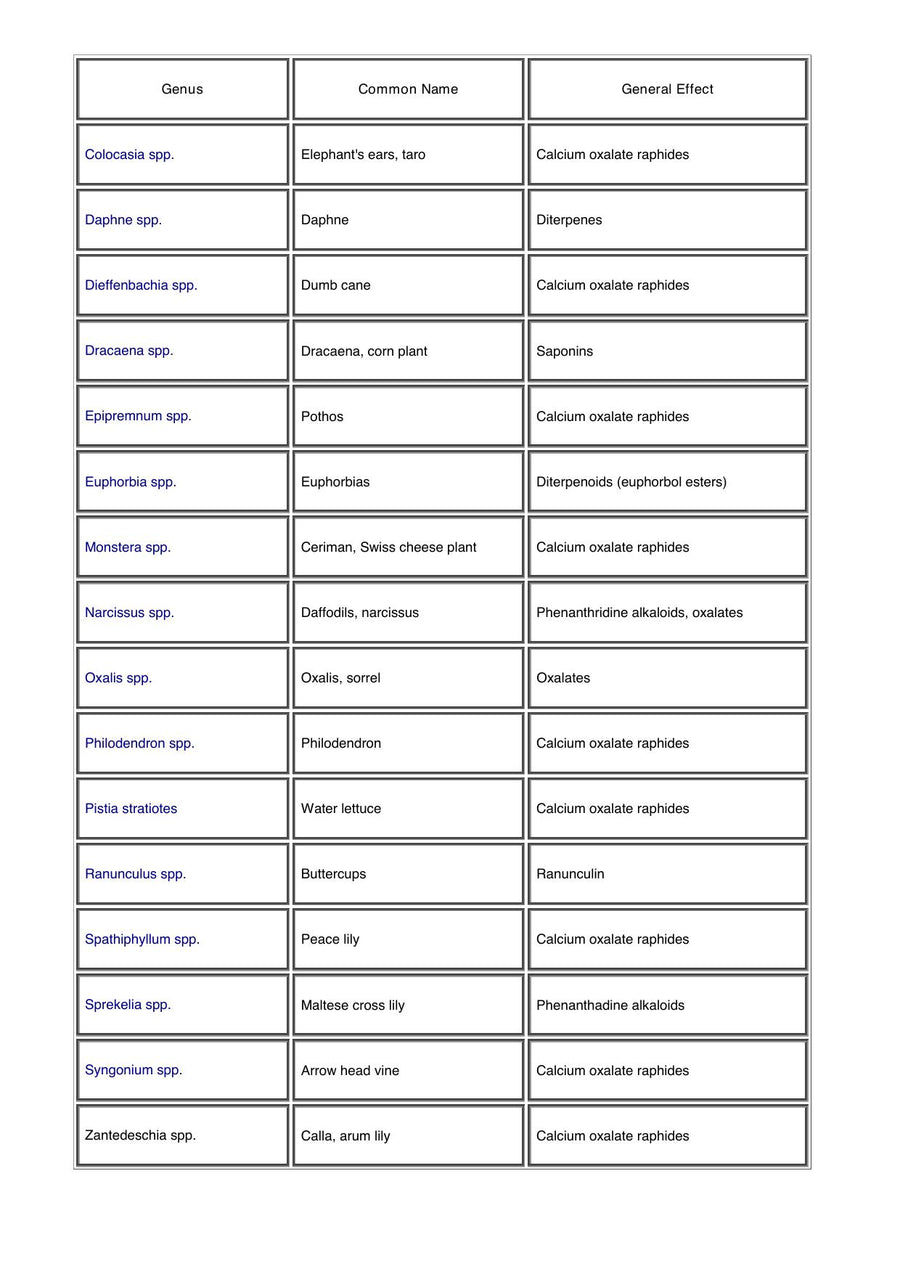 Preview page of A Guide to Poisonous House and Garden Plants