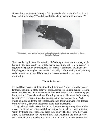 Decoding Your Dog
