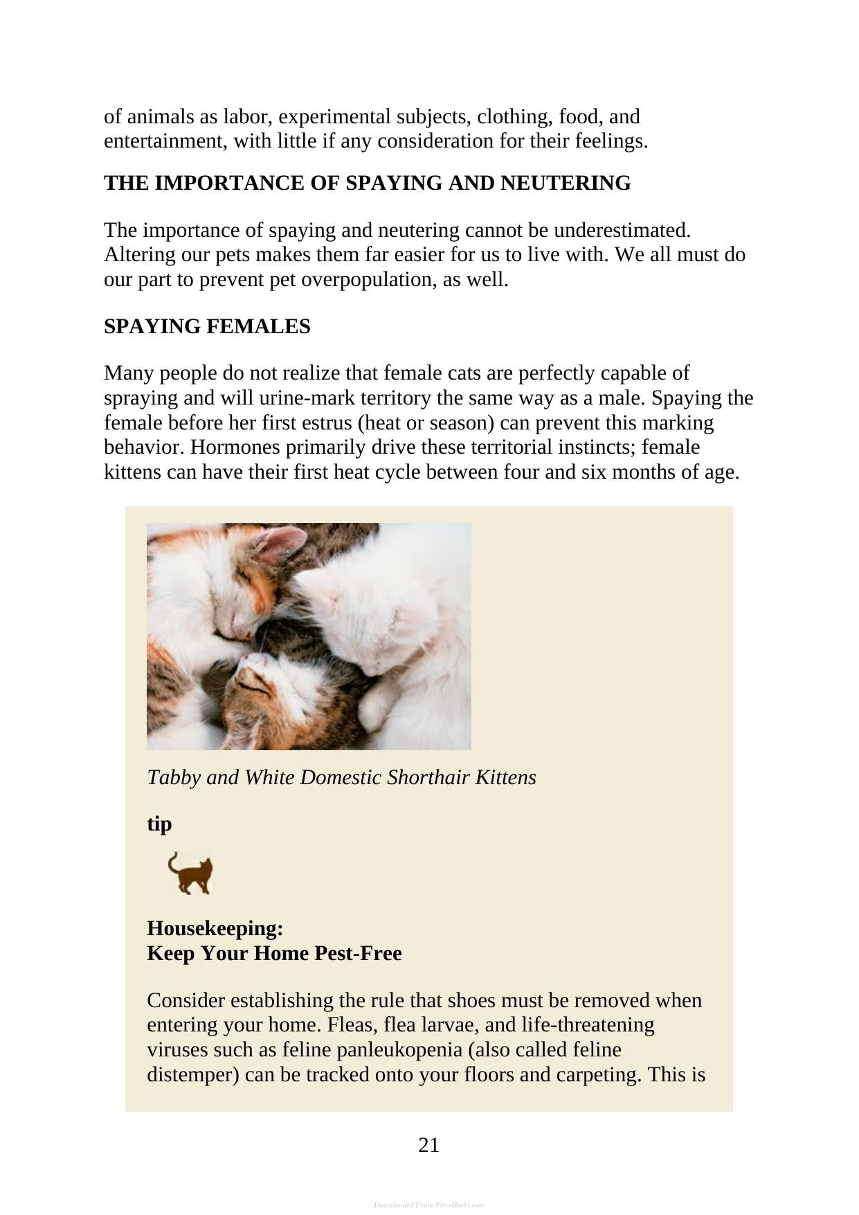 The Complete Guide To Holistic Cat Care An Illustrated Handbook