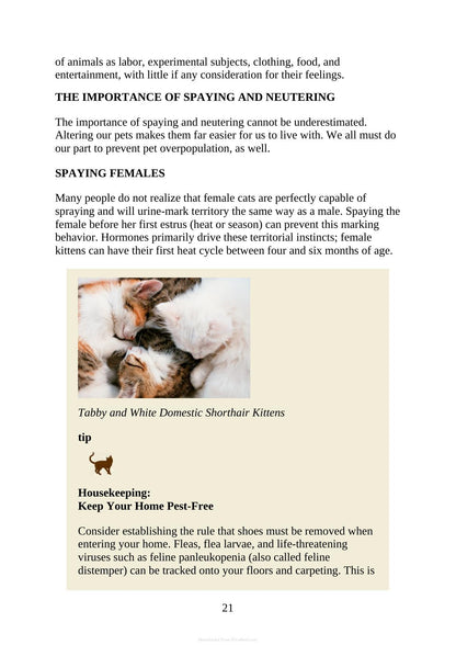 The Complete Guide to Holistic Cat Care an Illustrated Handbook