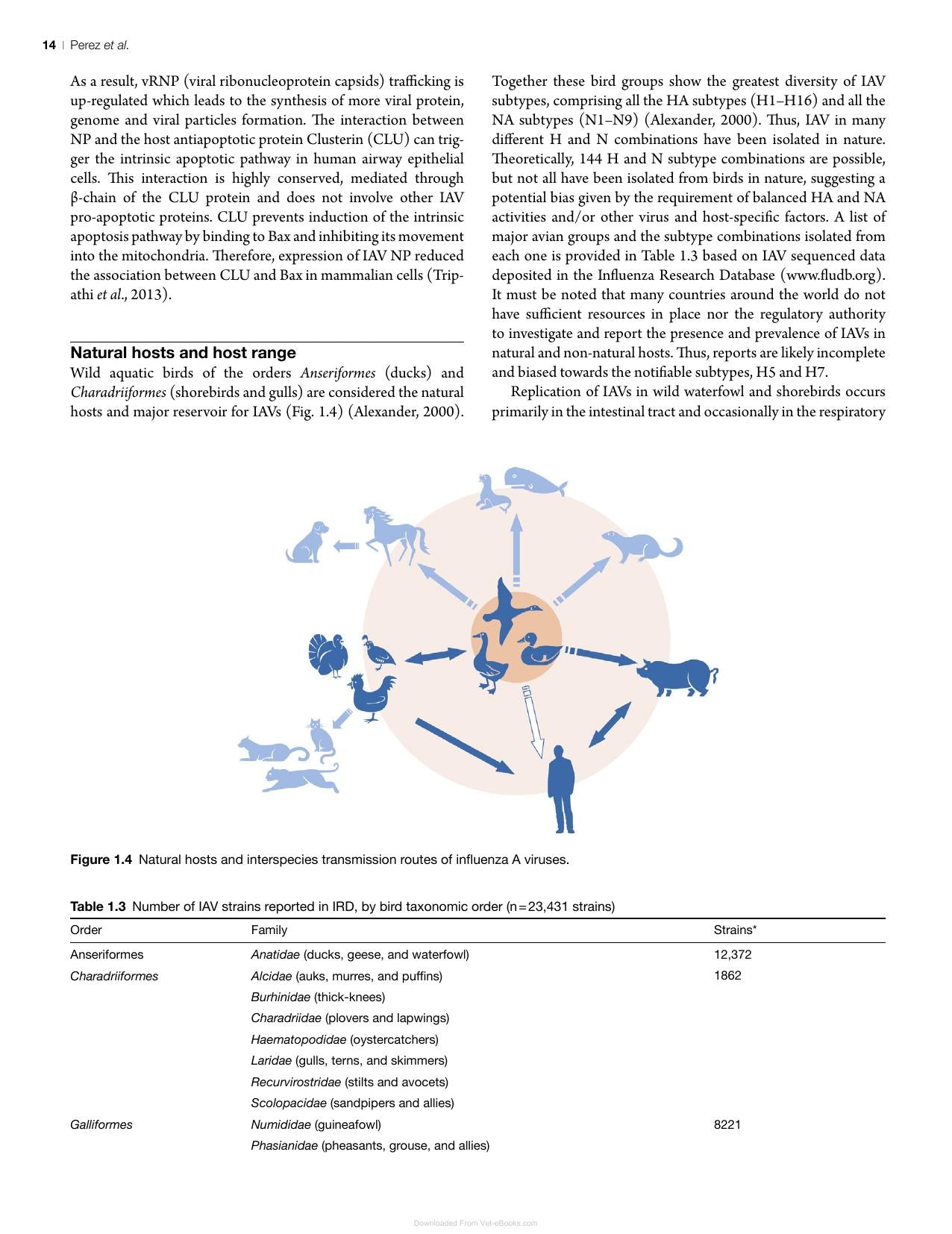 Avian Virology Current Research And Future Trends