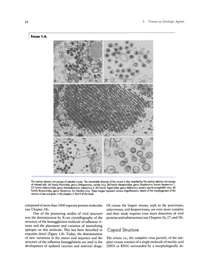 Veterinary Virology 3rd Edition