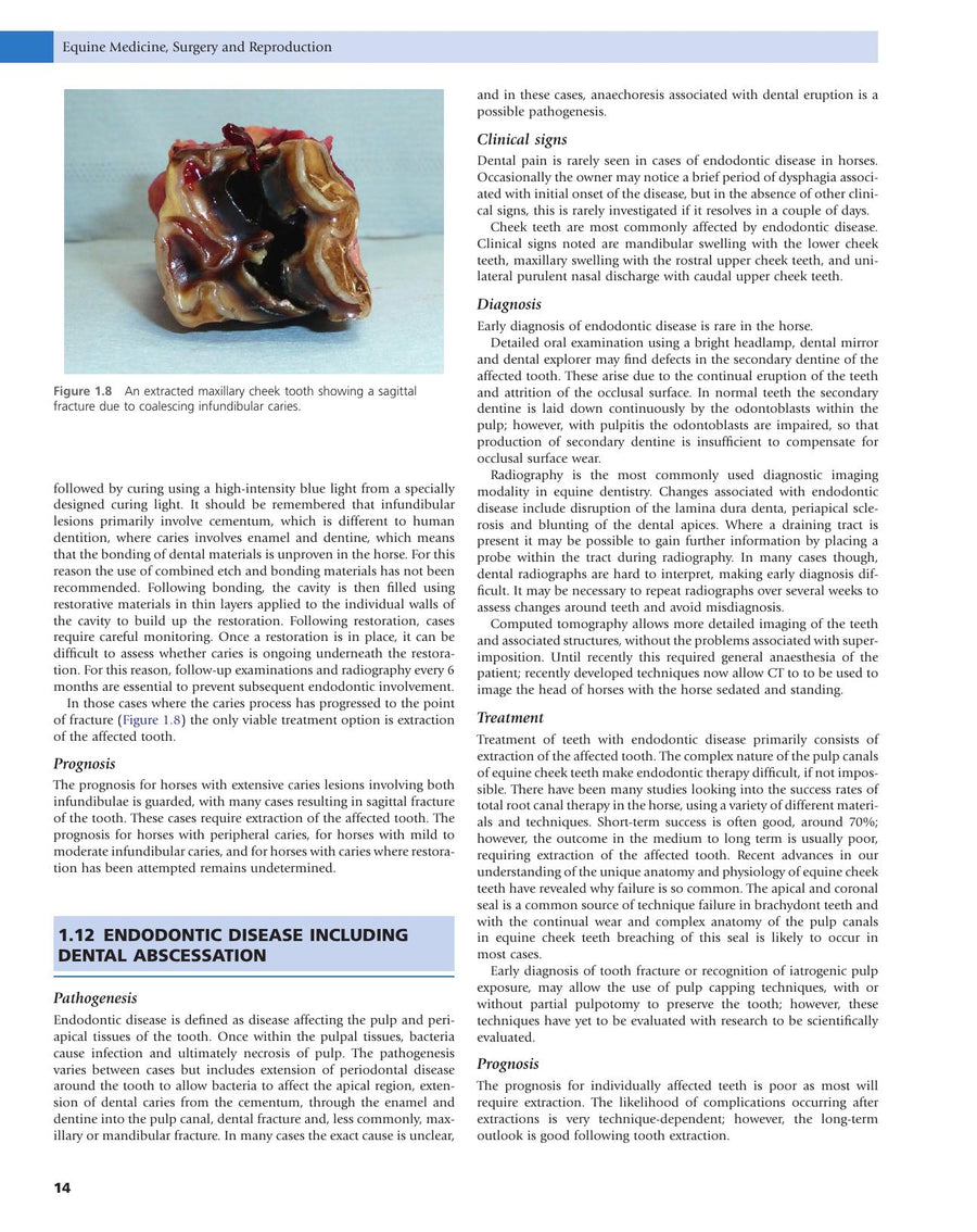 Preview page of Equine Medicine Surgery and Reproduction 2nd Edition