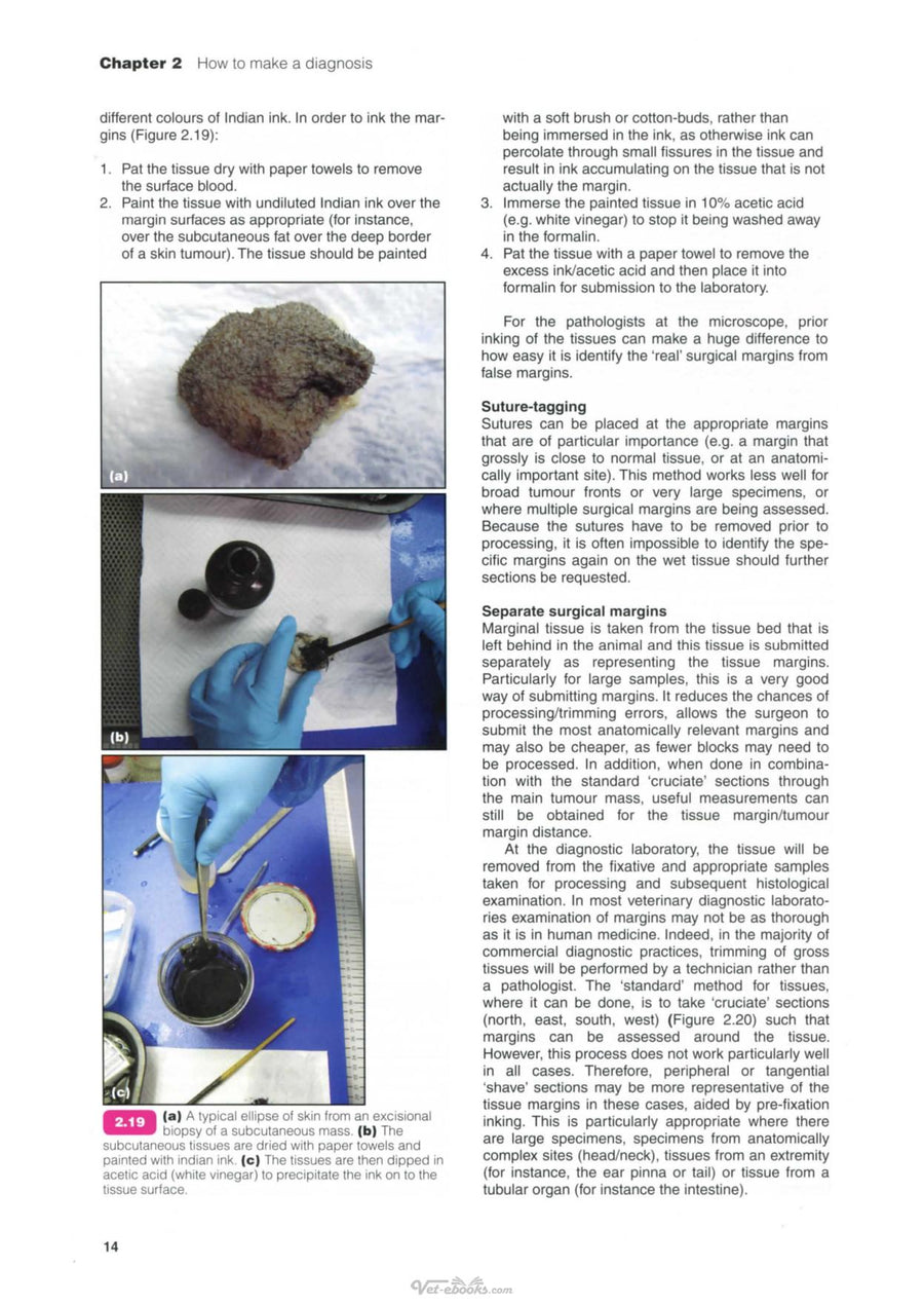 Preview page of Bsava Manual of Canine and Feline Oncology 3RD Edition