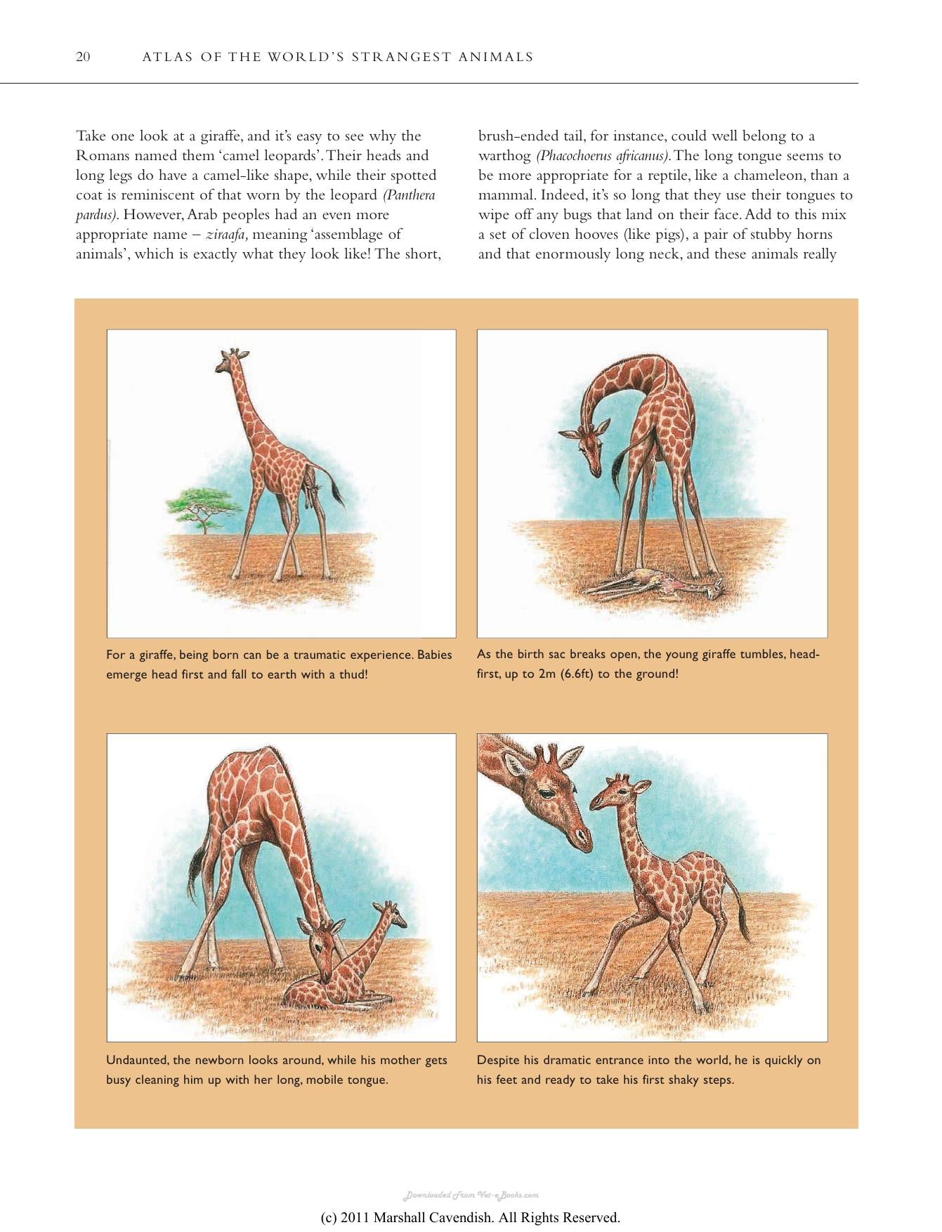 Atlas Of The Worlds Strangest Animals