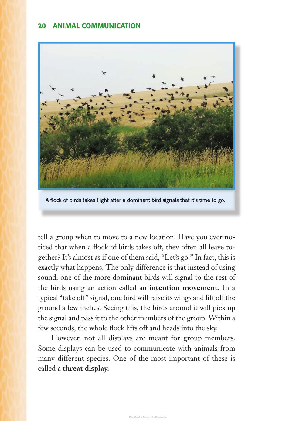Animal Behavior Animal Communication