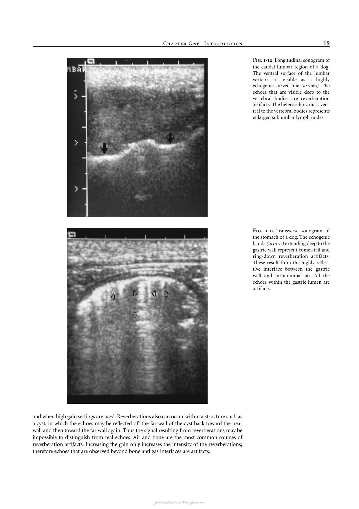 Look inside — page 21
