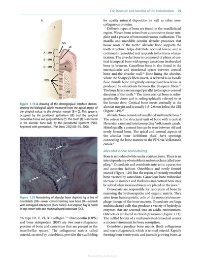 Veterinary Periodontology