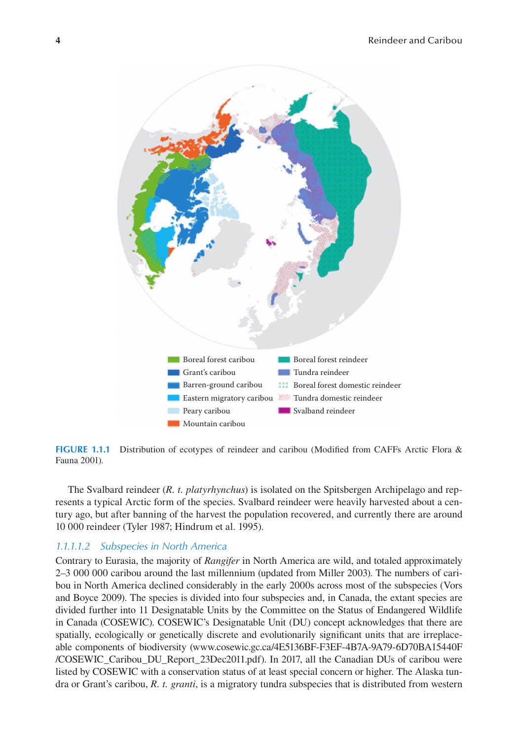 Look inside — page 21