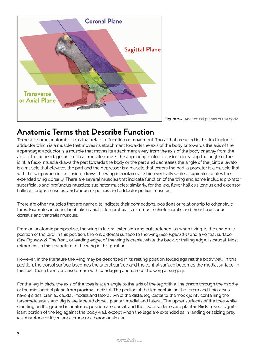 Preview page of Avian Surgical Anatomy and Orthopedic Management 2nd Edition