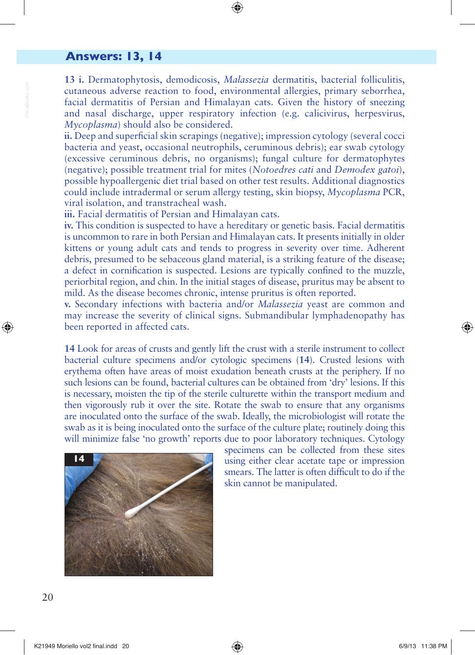 Small Animal Dermatology Advanced Cases Self Assessment Color Review
