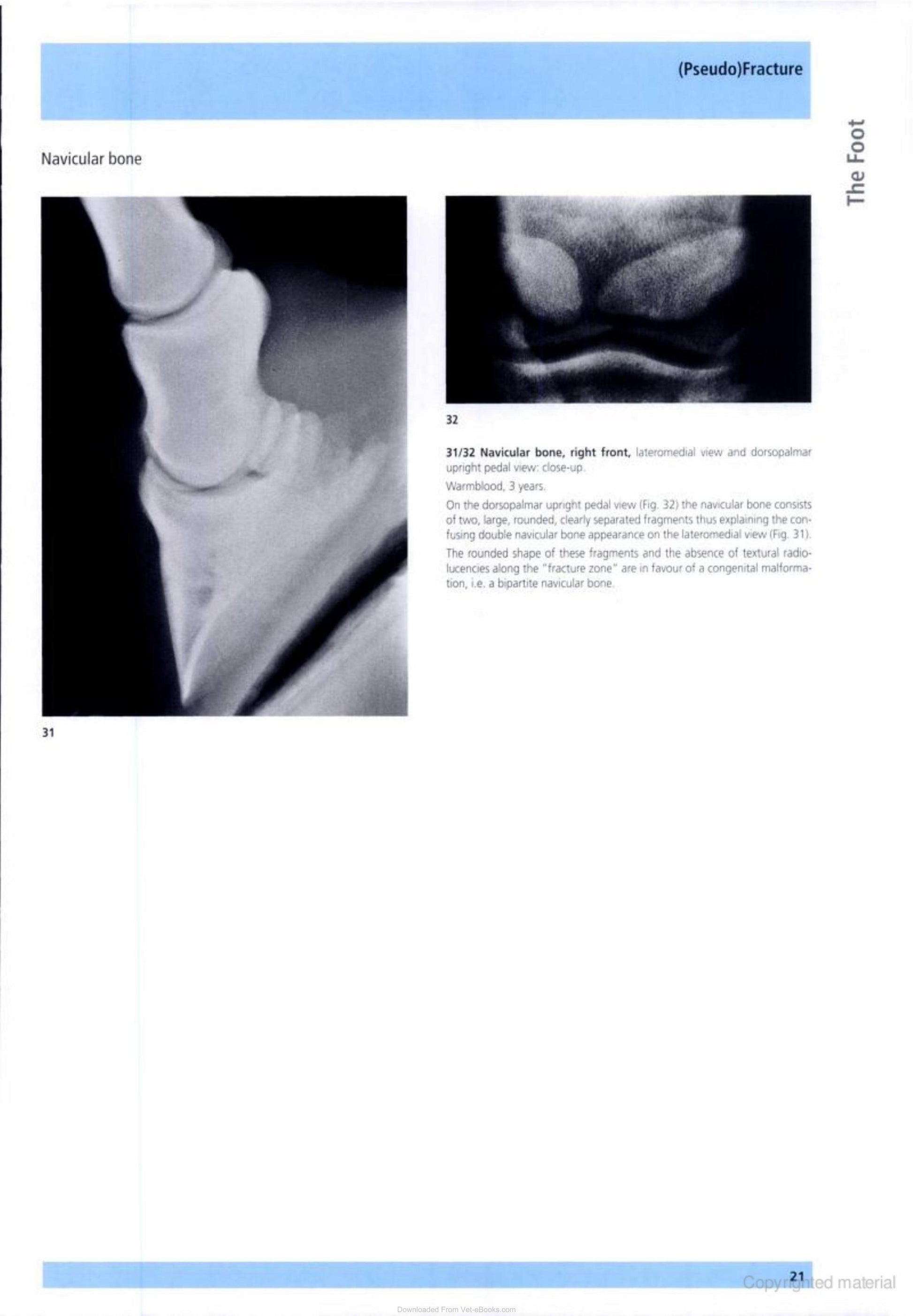 Look inside — page 21