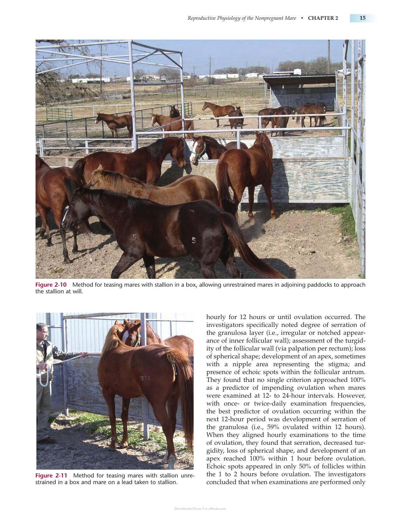 Manual Of Equine Reproduction 3Rd Edition