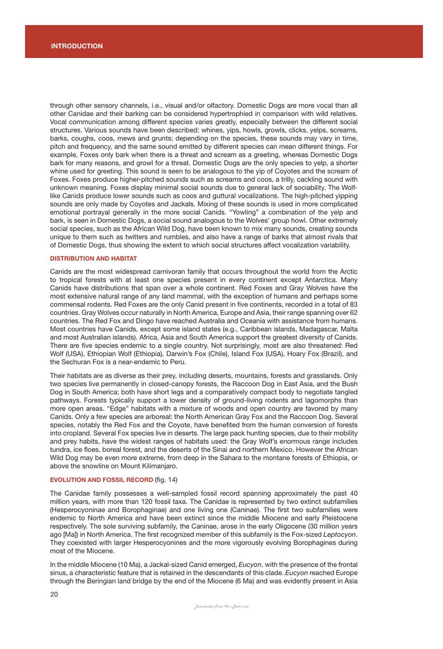 Preview page of Canids of the World Wolves Wild Dogs Foxes Jackals Coyotes and Their Relatives