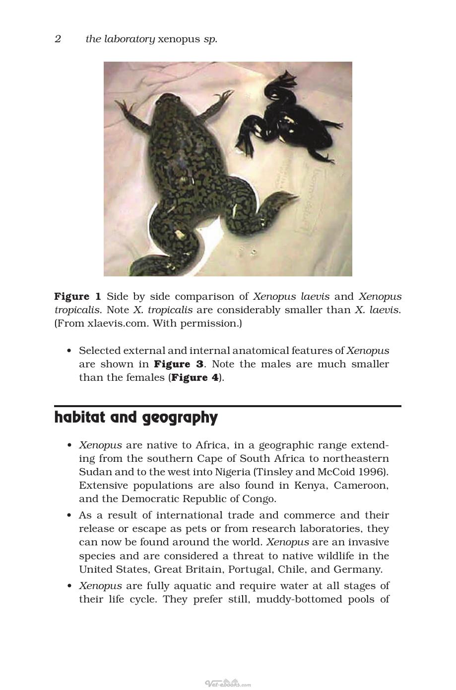 The Laboratory Xenopus Sp