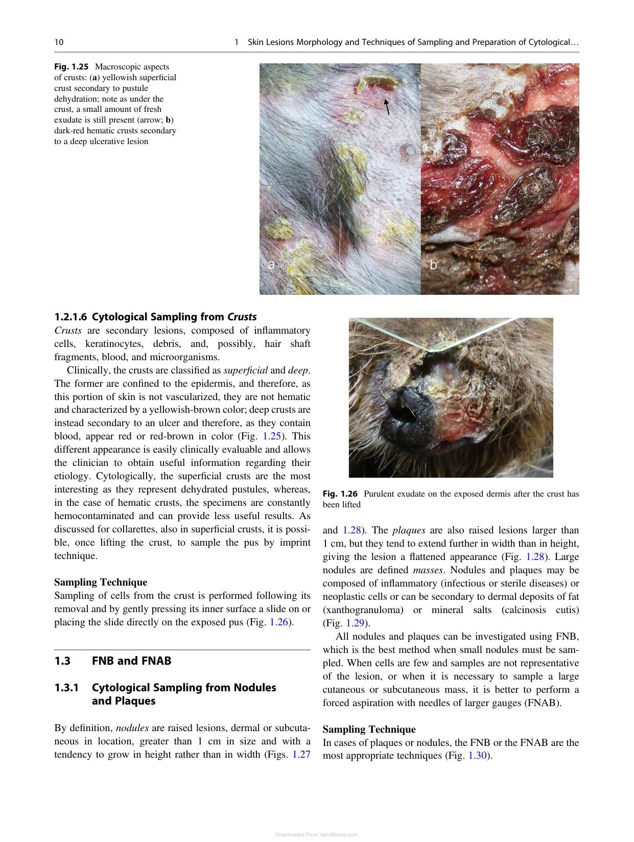 Canine And Feline Skin Cytology 2Nd Edition