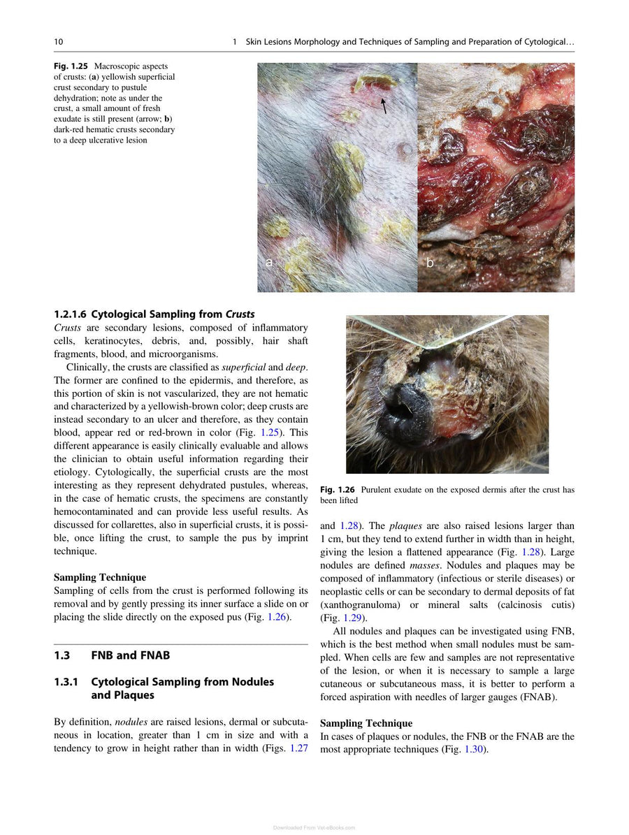Preview page of Canine and Feline Skin Cytology 2nd Edition