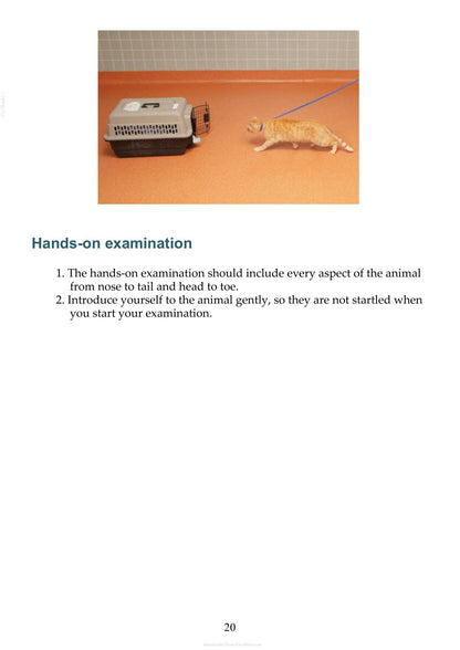 Small Animal Clinical Techniques 3rd Edition