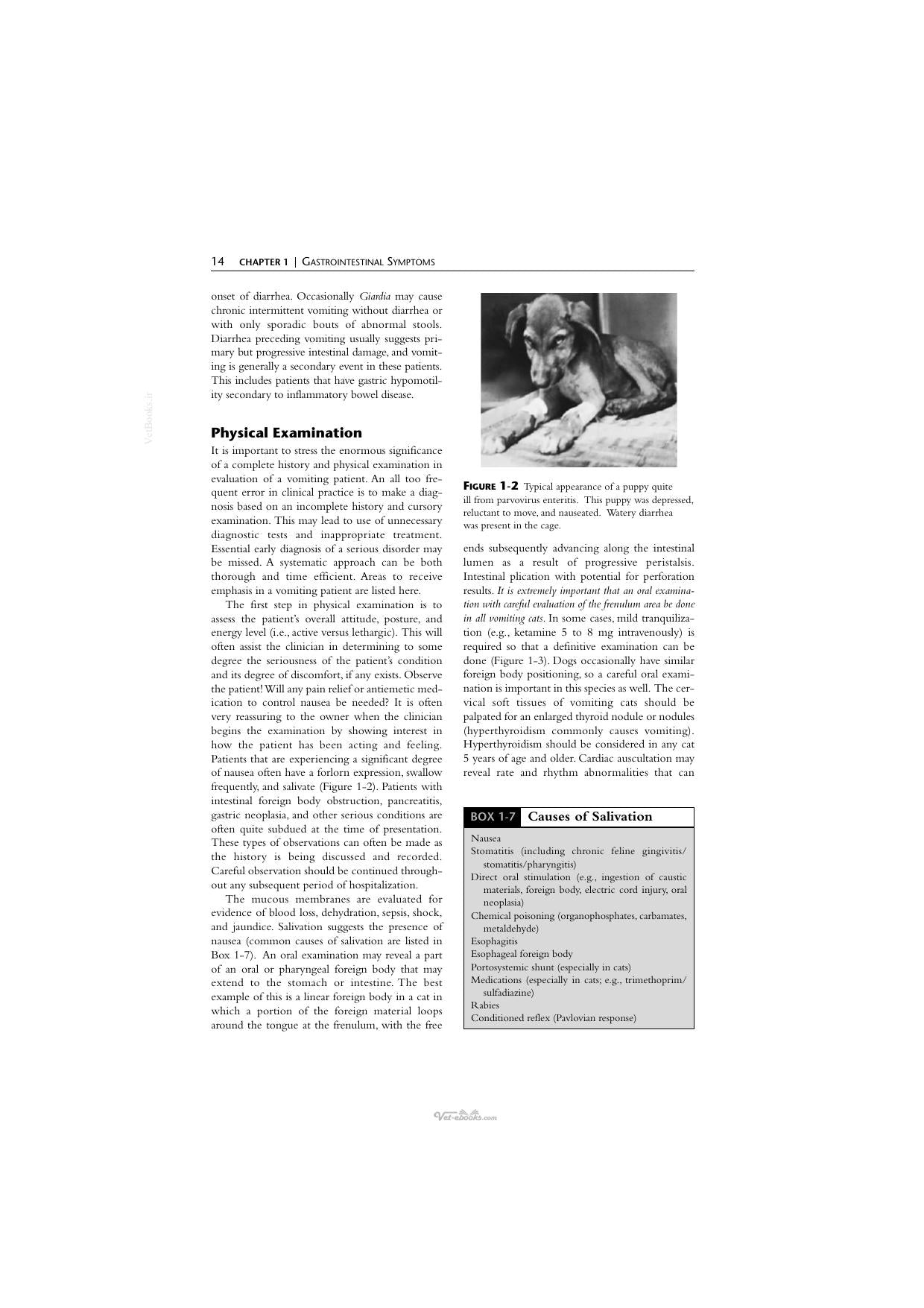 Handbook Of Small Animal Gastroenterology 2Nd Edition