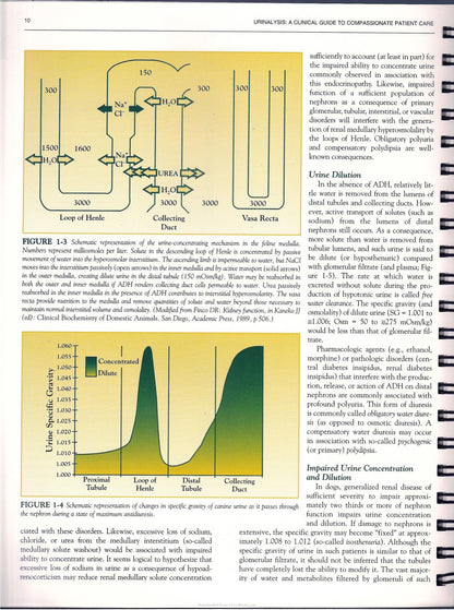 Urinalysis a Clinical Guide to Compassionate Patient Care