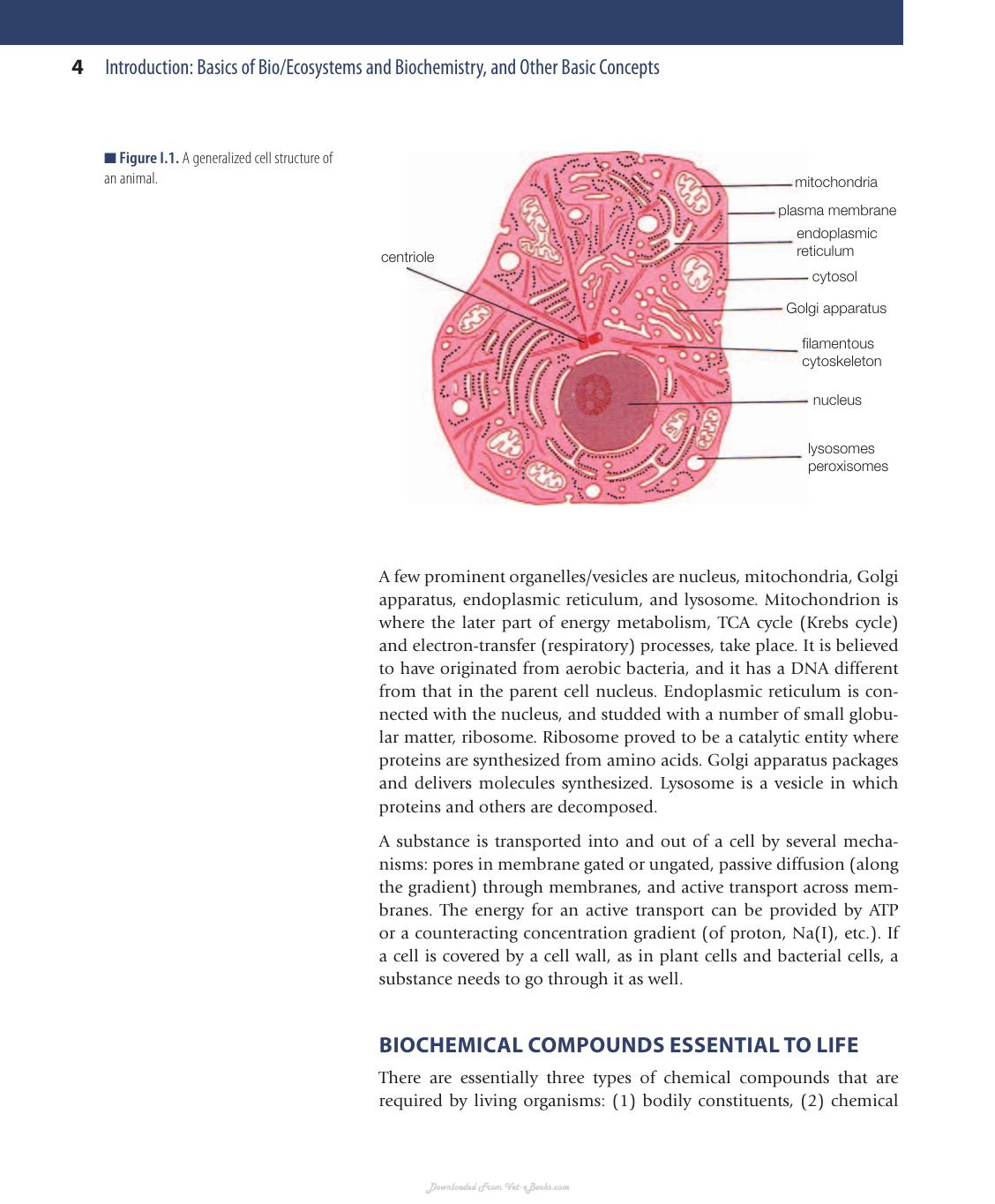 Bioinorganic Chemistry A Survey