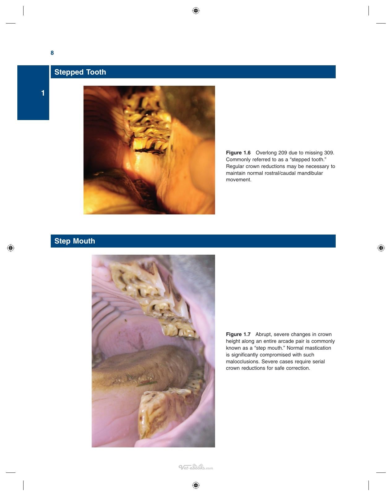 Illustrated Guide To Equine Diseases