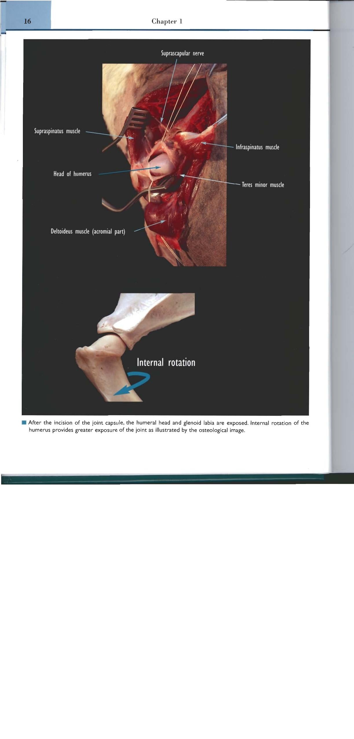 Look inside — page 21