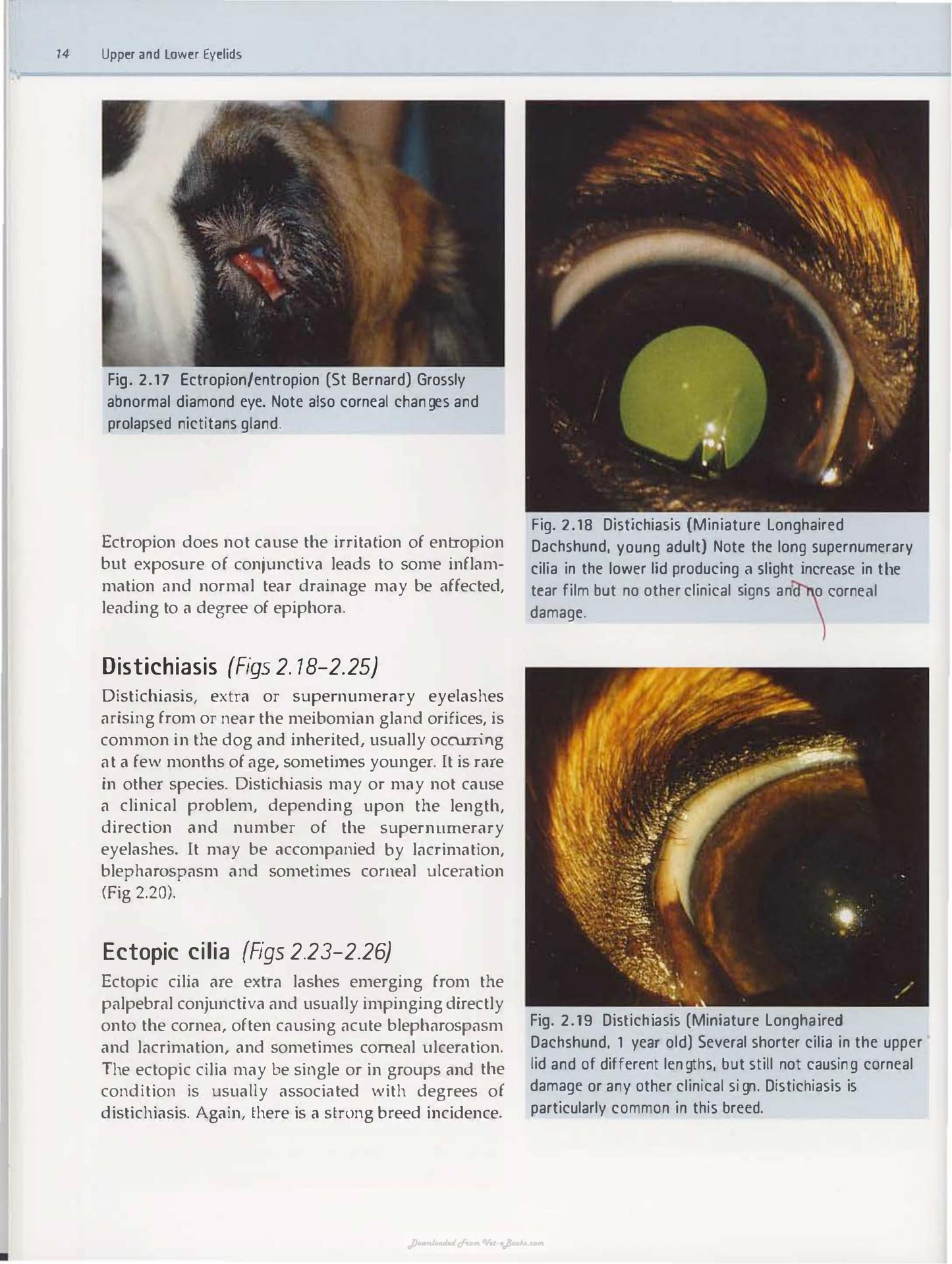 Diagnostic Atlas Of Veterinary Ophthalmology