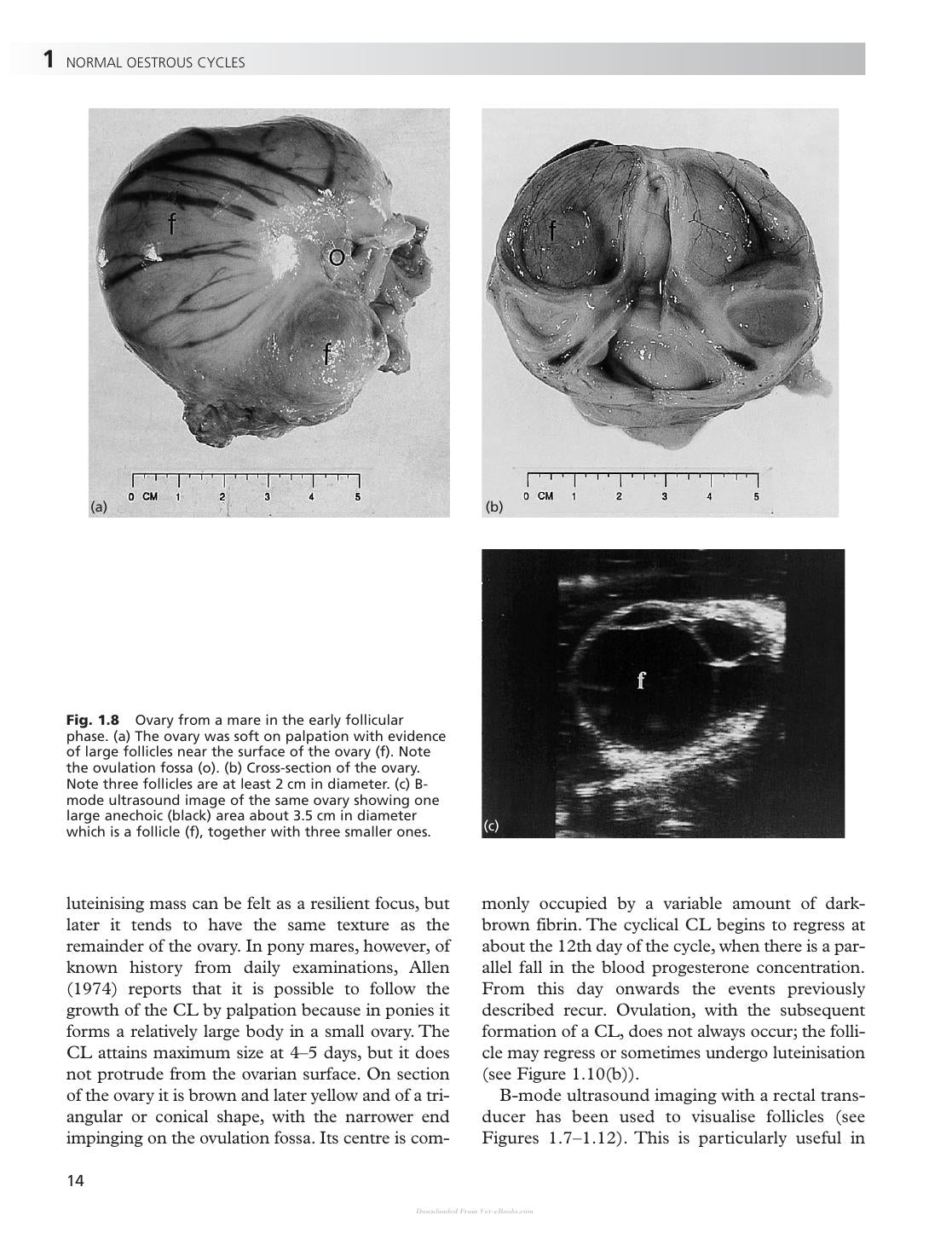 Look inside — page 21