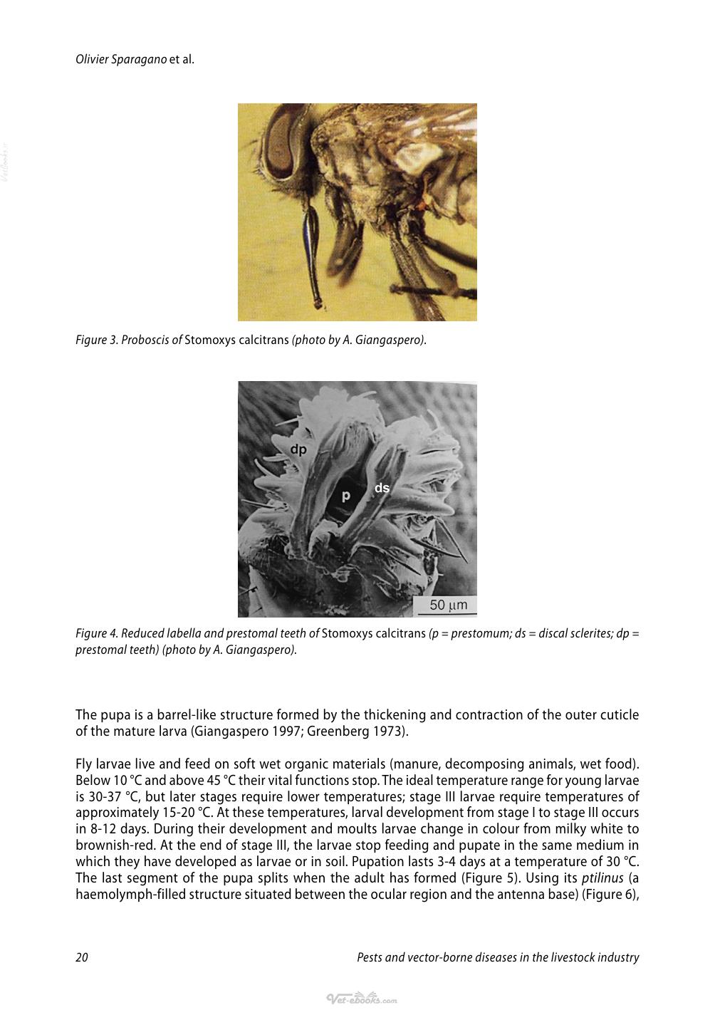 Look inside — page 21