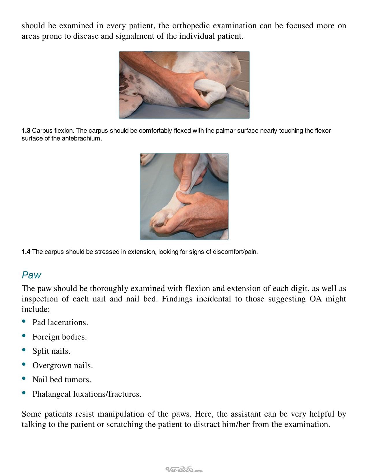 Multimodal Management Of Canine Osteoarthritis 2Nd Edition