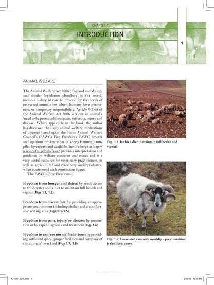 Look inside — page 21