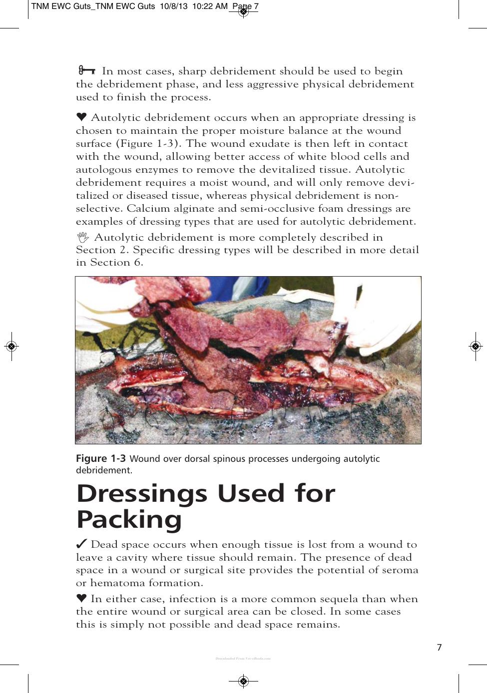 Wound Care Management For The Equine Practitioner