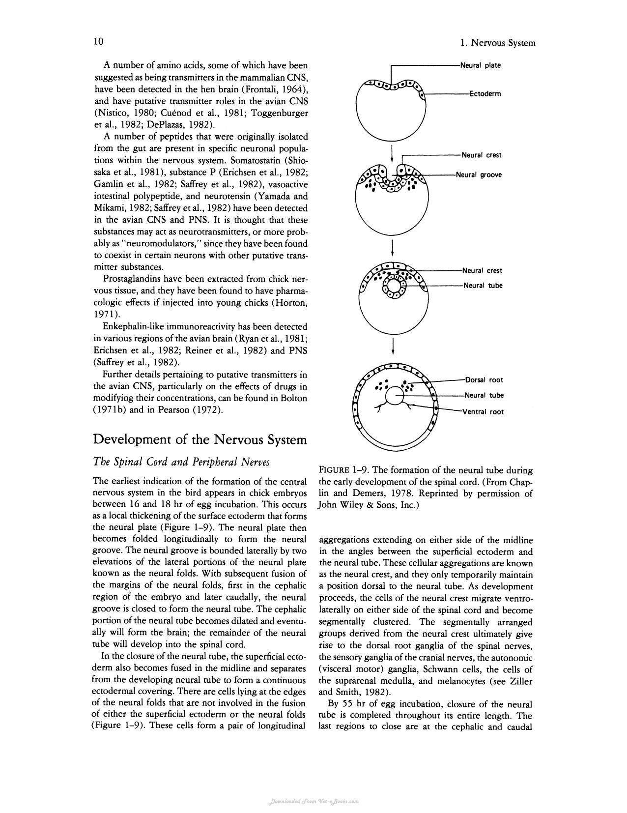 Avian Physiology 4Th Edition