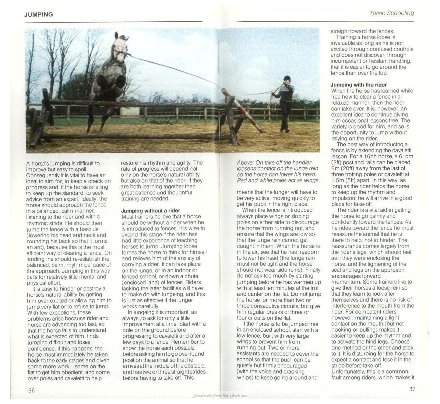 Young Riders Guide To Horse And Pony Care