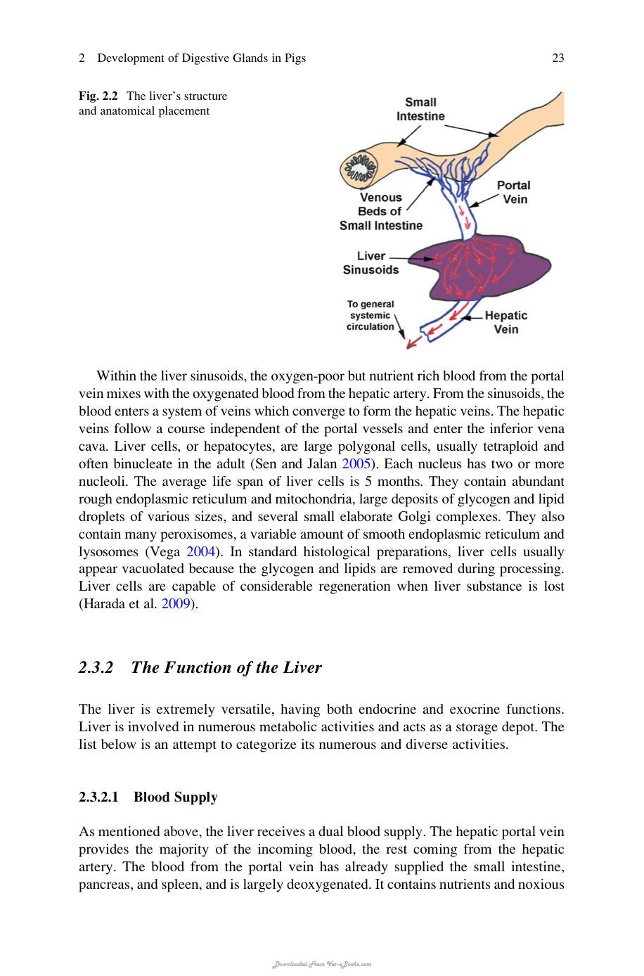Nutritional And Physiological Functions Of Amino Acids In Pigs