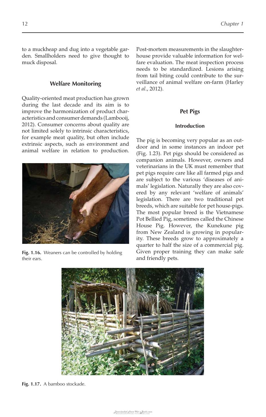 Look inside — page 21