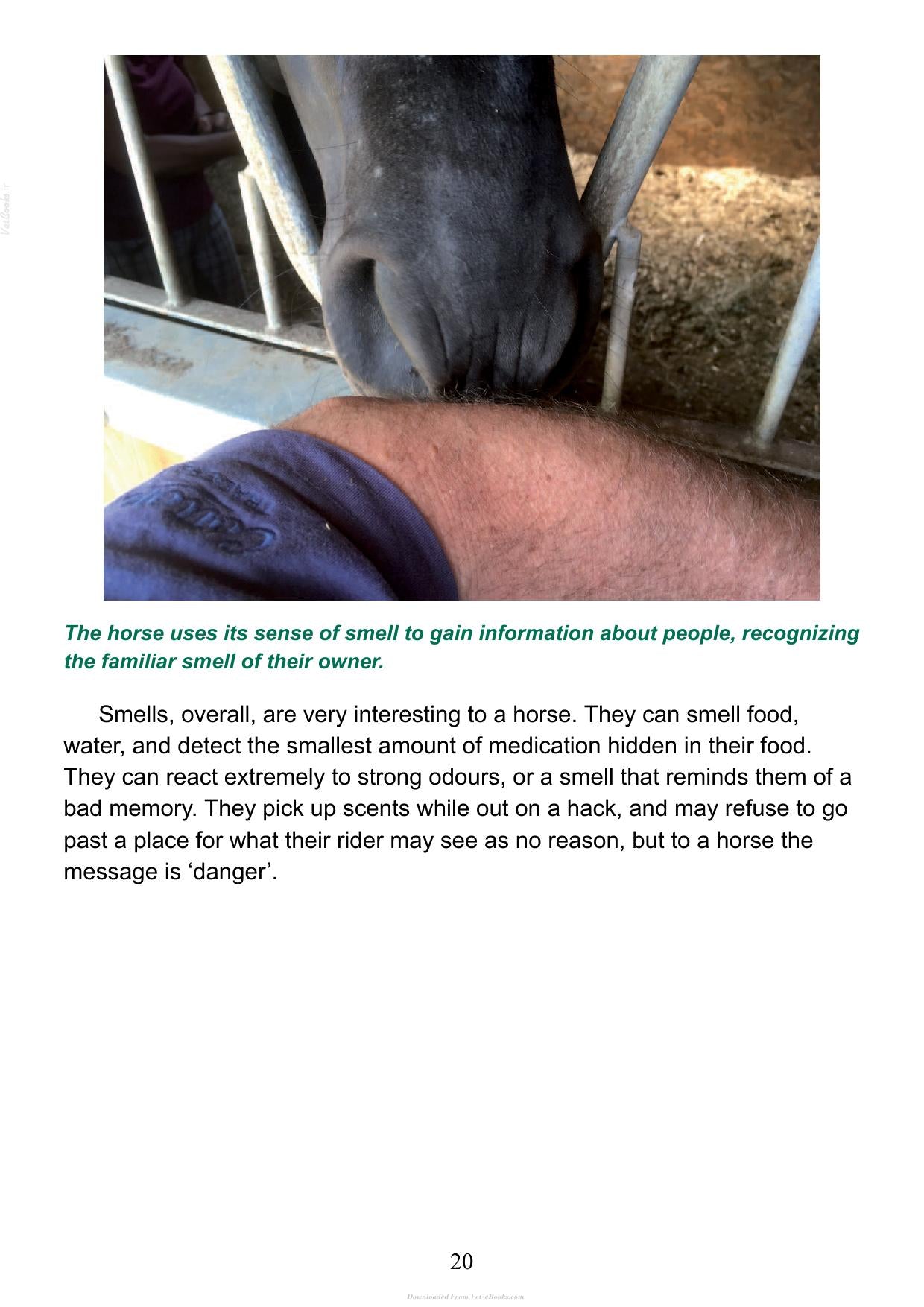 The Psychology Of Horsemanship Understanding The Horse And You