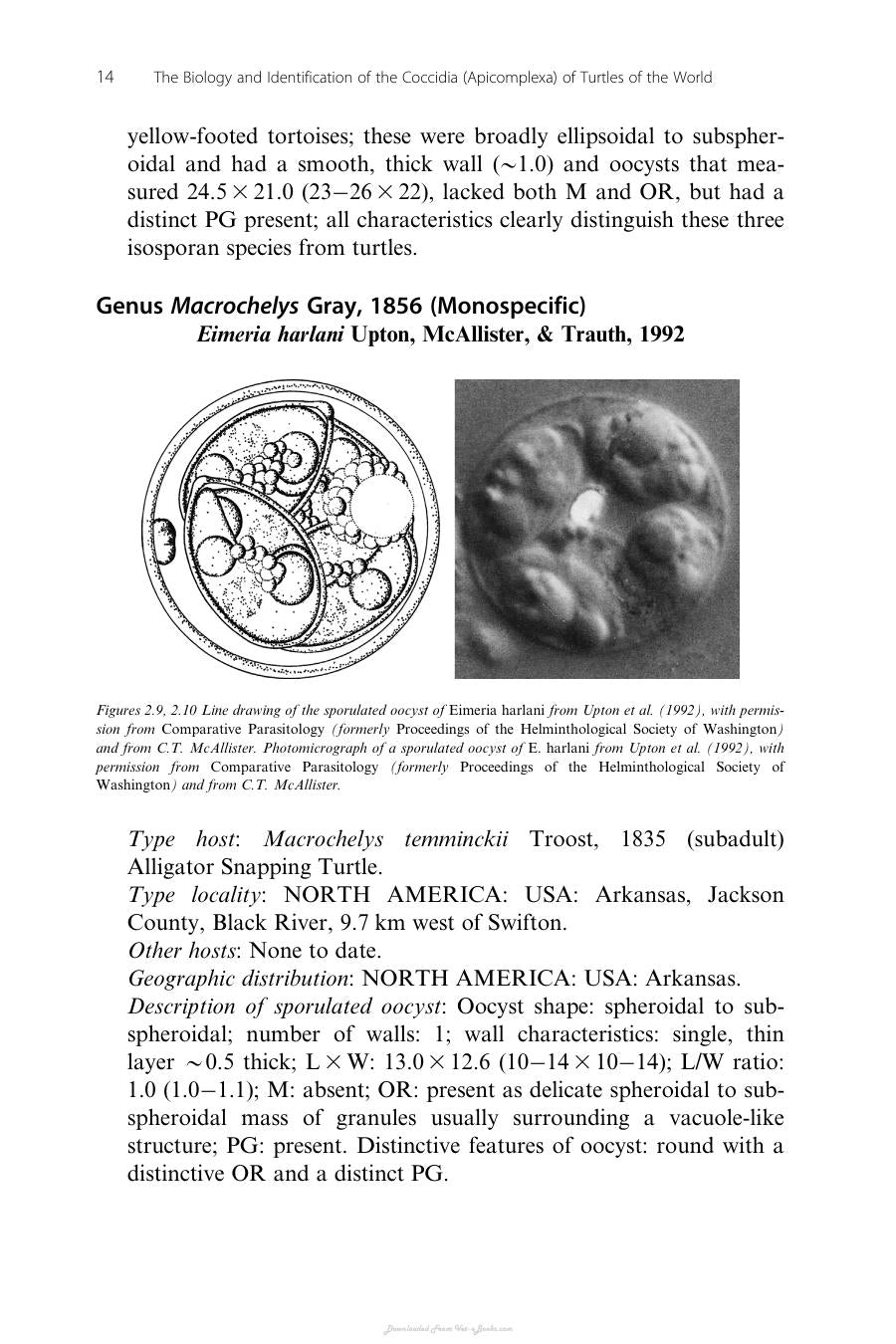 The Biology And Identification Of The Coccidia Apicomplexa Of Turtles Of The World