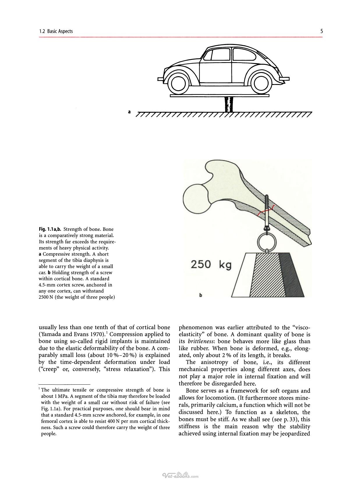 Look inside — page 21