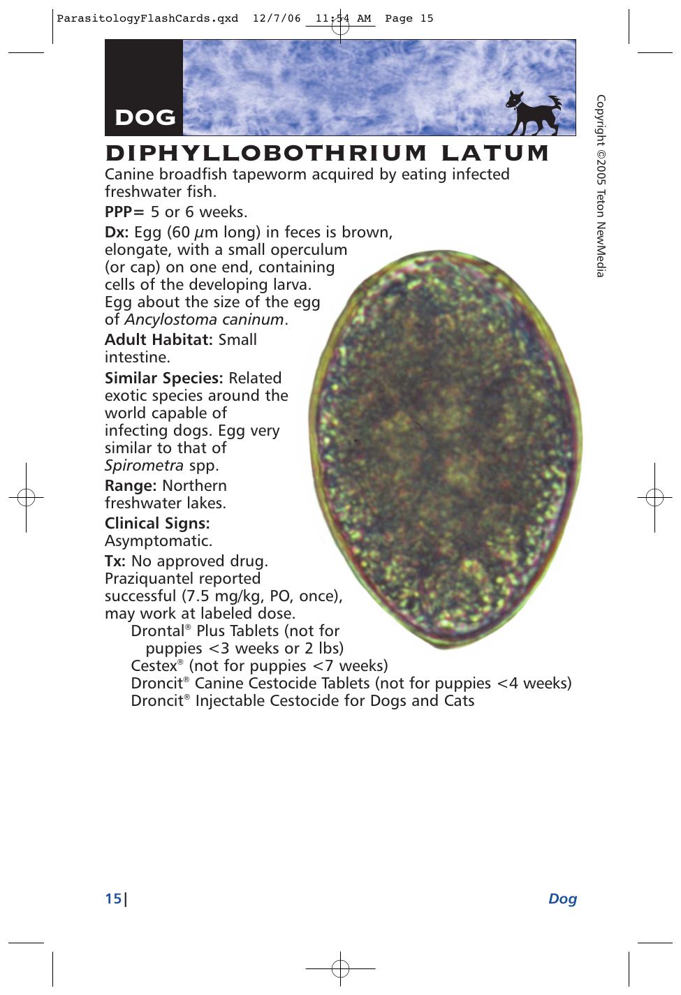 Parasitology Diagnosis And Treatment Of Common Parasitisms In Dogs And Cats