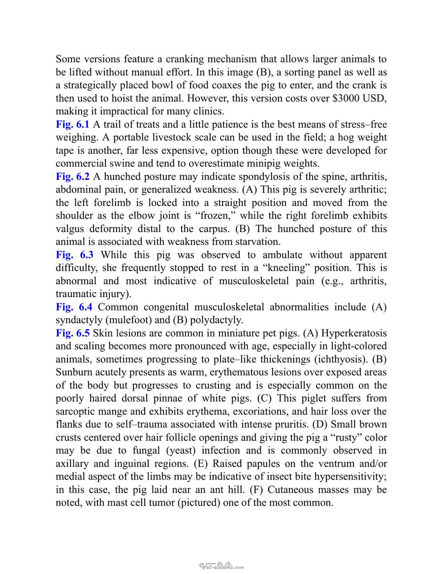 Preview page of Potbellied Pig Veterinary Medicine