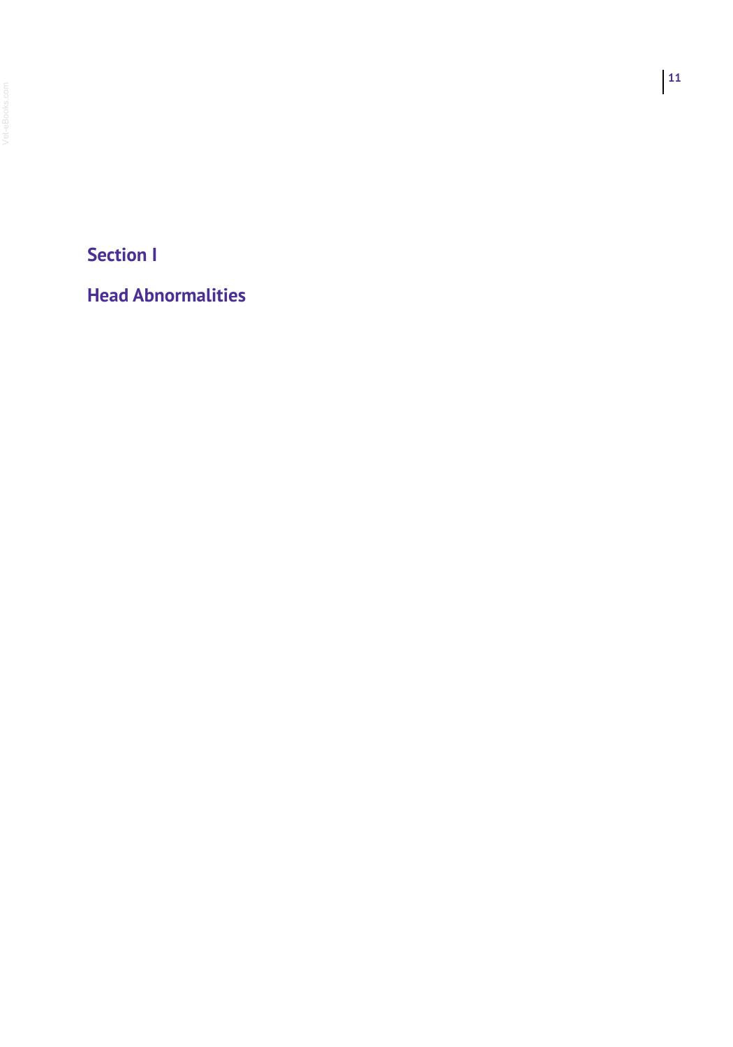 Sperm Morphology Of Domestic Animals