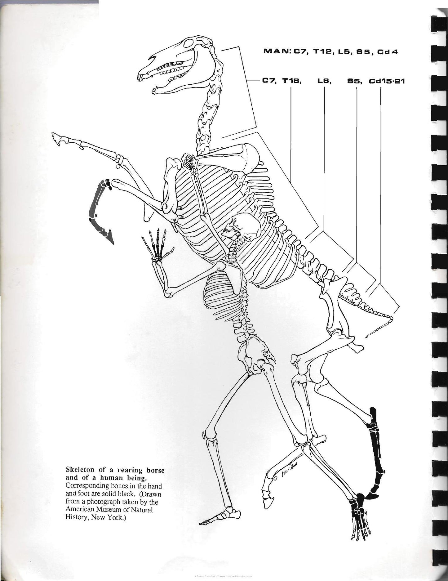 Look inside — page 2