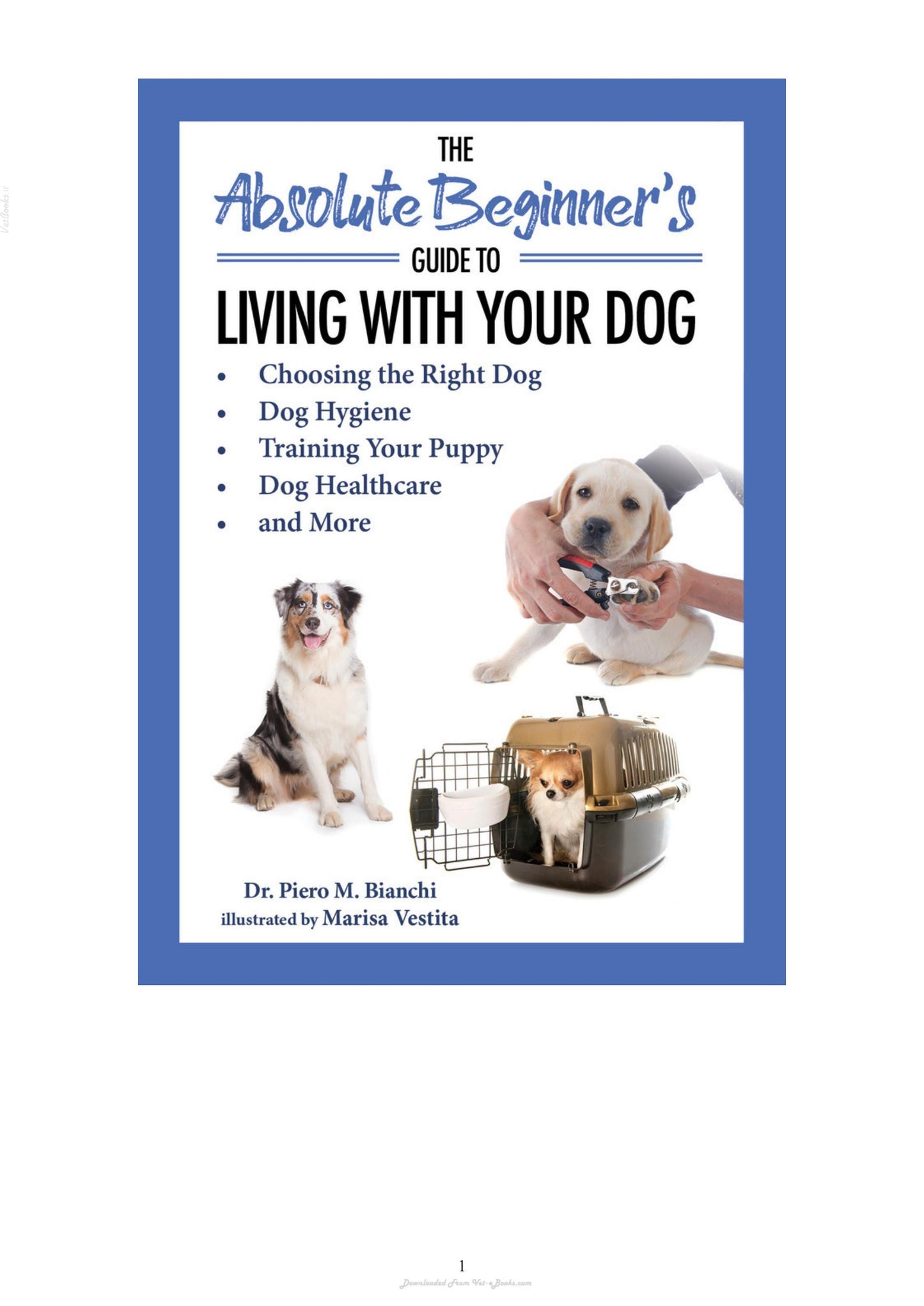 The Absolute Beginners Guide To Living With Your Dog