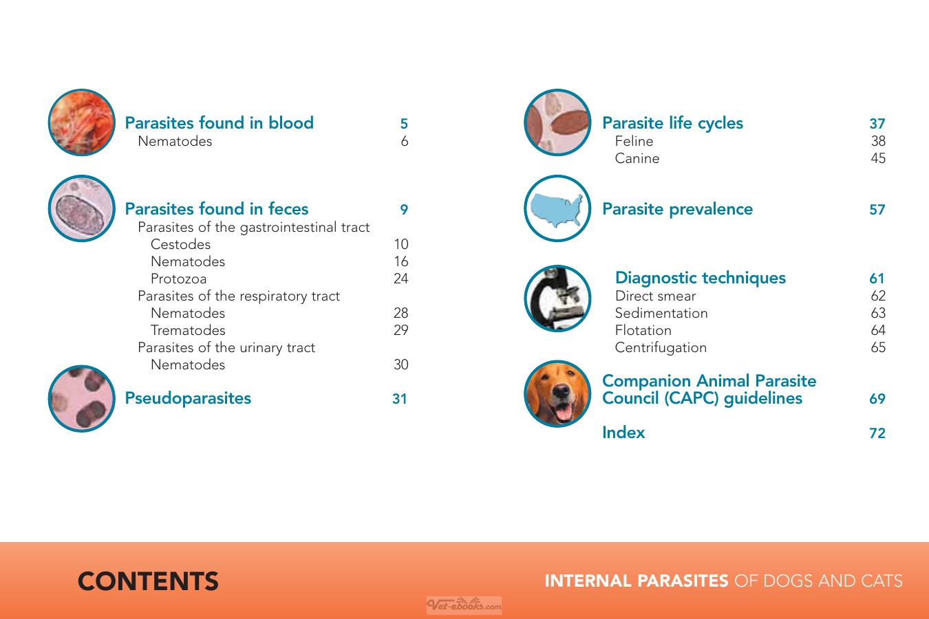 Internal Parasites Of Dogs And Cats Diagnostic Manual