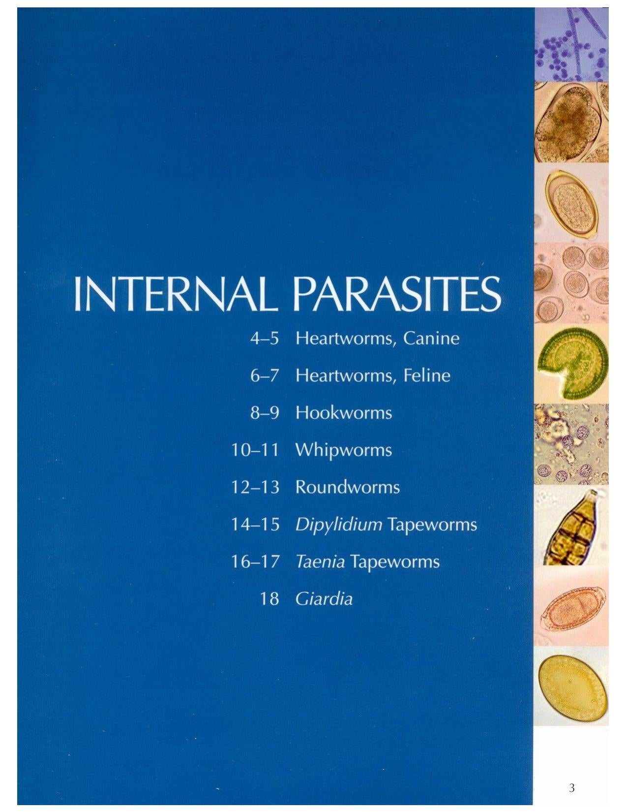 Look inside — page 4