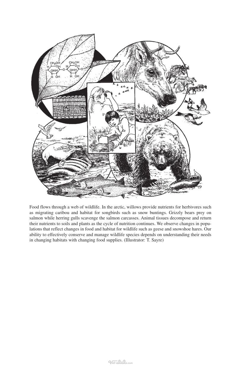 Look inside — page 4